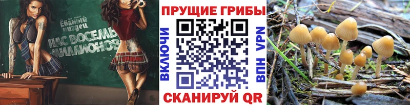 Галлюциногенные грибы мухоморы  Староминская 